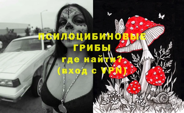 ECSTASY Беломорск