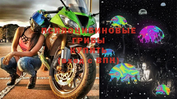 винт Балахна