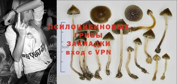 винт Балахна