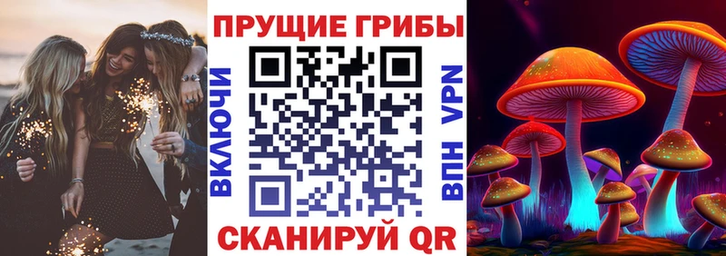 Галлюциногенные грибы прущие грибы KRAKEN tor Демидов цена