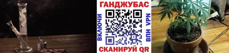 Марихуана OG Kush  продажа наркотиков  Демидов 